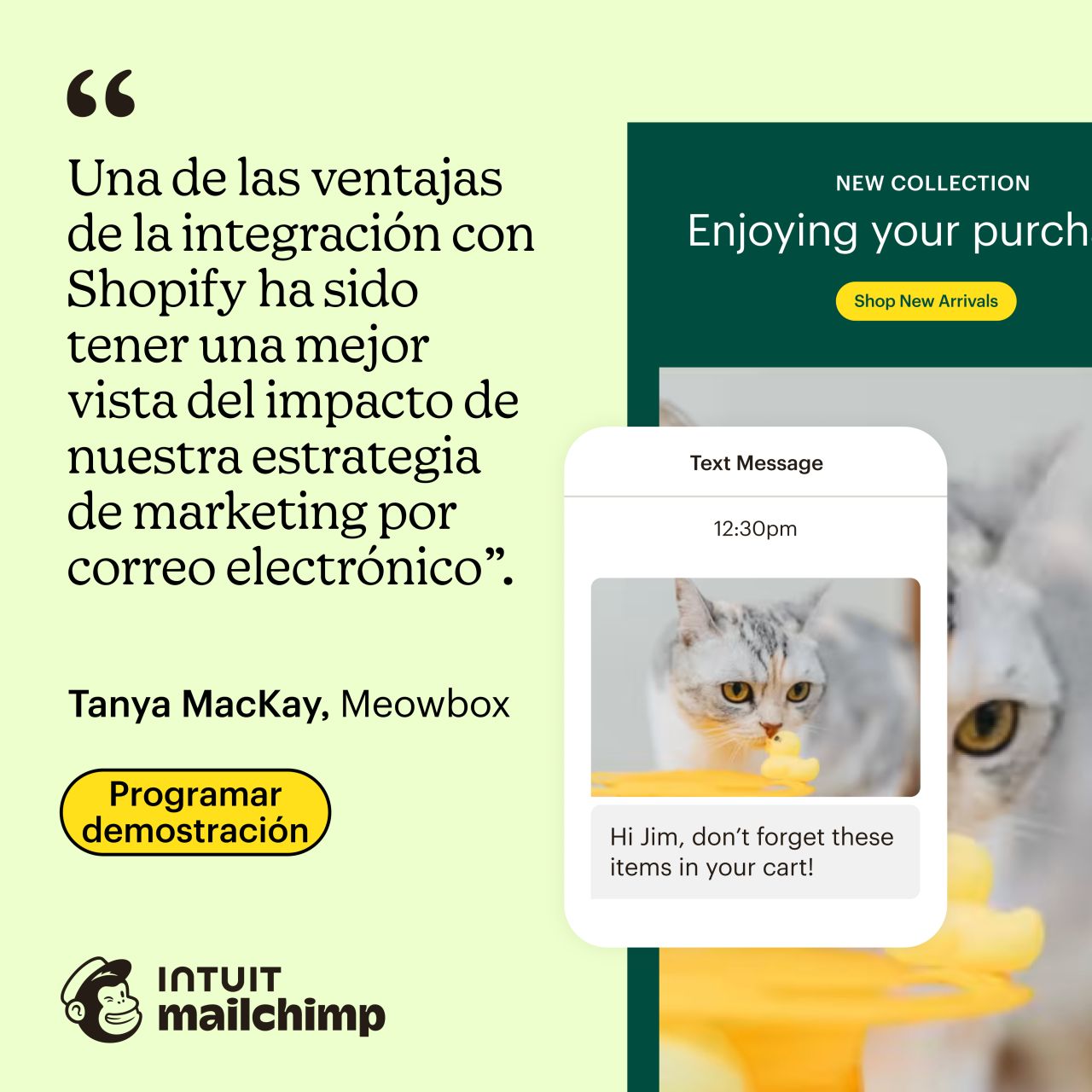 Mailchimp ad in Spanish on light green background. Testimonial from Tanya MacKay at Meowbox about Shopify integration benefits. Shows SMS cart reminder mockup with cat image. Yellow Programar demostración button.