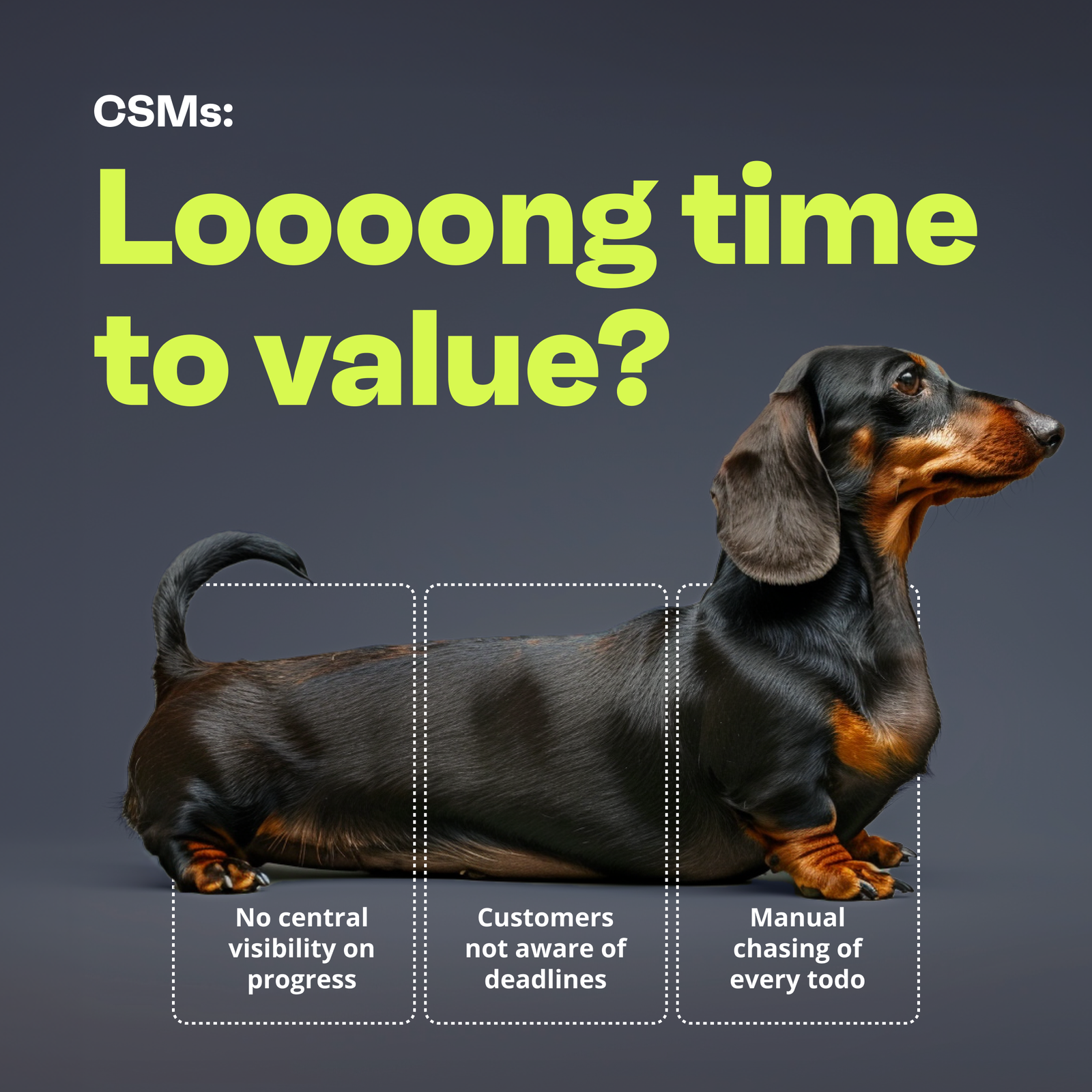 A dark-themed ad for a product called Valuecase, featuring a long dachshund dog positioned horizontally across the image. The headline reads "CSMs: Loooong time to value?" Three dotted boxes along the dog's body highlight key pain points: no central visibility on progress, customers not aware of deadlines, and manual chasing of every todo.